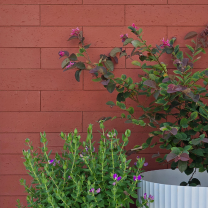 Flexible Brick Facing - Red